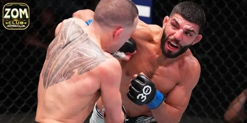 Điểm danh nhanh các kèo cược HOT trong cược boxing đình đám 2025